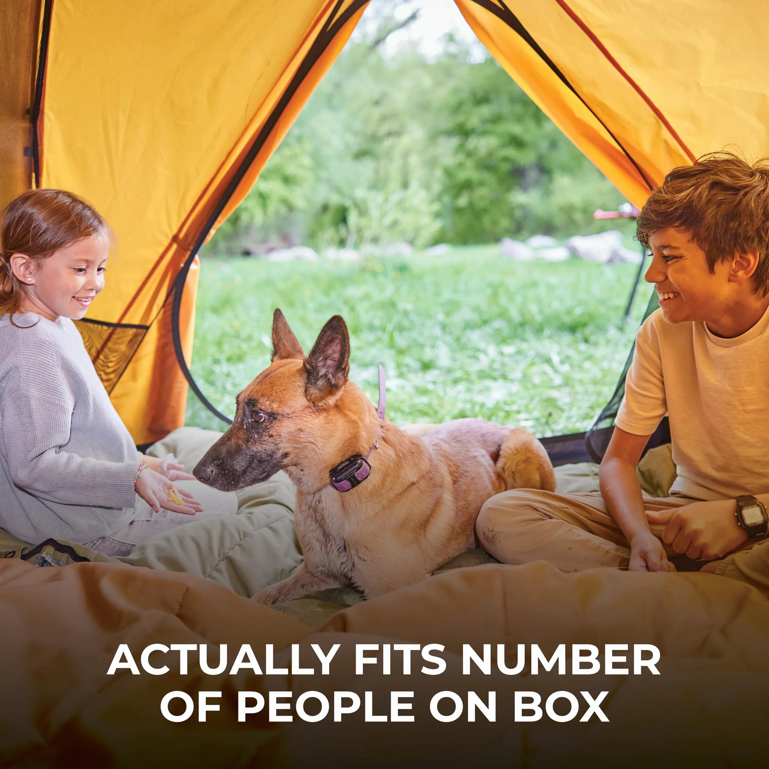 Mountain Ultra Tents, 1-4 Person Backpacking Tent, Lightweight, Perfect for Camping, Hiking and Backpacking – Waterproof and Built to Last